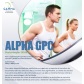 Alpha GPC 300mg 60 Cápsulas